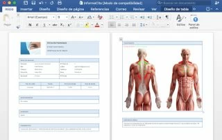 Informe fisioterapia